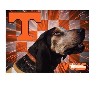 Meet your Posher, Jaylyn